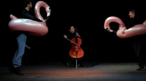 le carnaval des animaux realisation teaser bande annonce spectacle danse théâtre nevers nièvre bourgogne